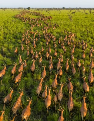 Pictures of the Year 2025: Το National Geographic διάλεξε τις καλύτερες φωτογραφίες της χρονιάς που μας πέρασε