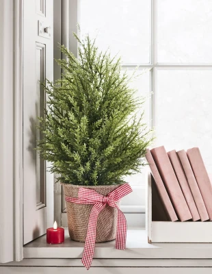 Τα ιδανικά φυτά για να προσφέρετε ως δώρο στα χριστουγεννιάτικα gatherings