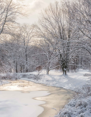 Winter Wonderlands: Οι ομορφότεροι χιονισμένοι κήποι στον κόσμο