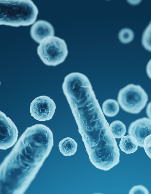 Ευ ζην στην Εμμηνόπαυση: Όσα οφείλουμε να γνωρίζουμε για το μικροβίωμα ως παράγοντα ισορροπίας κατά τη διάρκεια της εμμηνόπαυσης