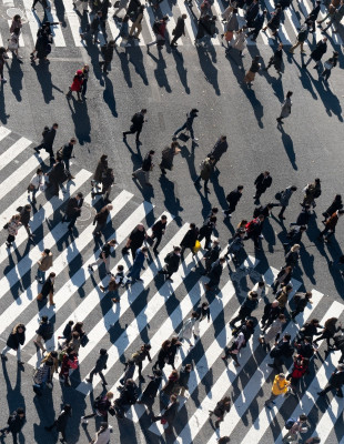 Στην εποχή του AI δεν έχει σημασία το πόσο έξυπνος είσαι, αλλά το πόσο ευέλικτος μπορείς να γίνεις
