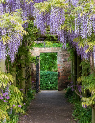 Τα πιο συχνά λάθη κηπουρικής την άνοιξη και πώς να τα αποφύγετε για έναν όμορφα ανθισμένο κήπο