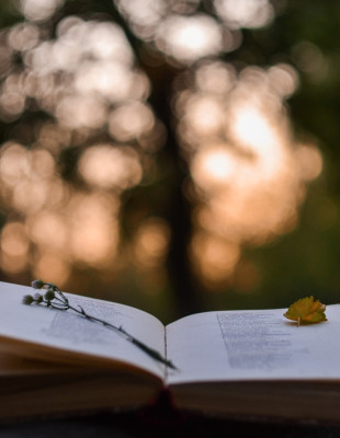 World Poetry Day: Οι καλύτερες ποιητικές συλλογές όλων των εποχών που πρέπει να διαβάσετε έστω μία φορά στη ζωή σας