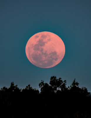 Ποια ζώδια θα επηρεάσει η σημερινή Ροζ Πανσέληνος