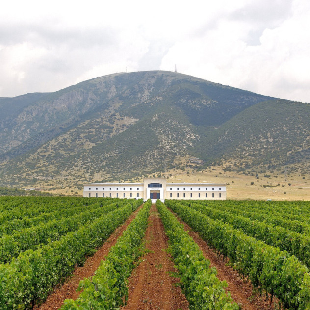 Από τη Μακεδονία έως τη Θράκη, μία μαγευτική περιπλάνηση στα οινοποιεία της Βόρειας Ελλάδας