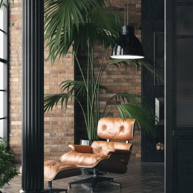 Τα viral φυτά του 2026 που θα βλέπουμε σε κάθε σπίτι