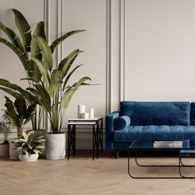 Φυτά εσωτερικού χώρου και καθαρή ατμόσφαιρα: Μύθος ή πραγματικοί σύμμαχοι ευεξίας;