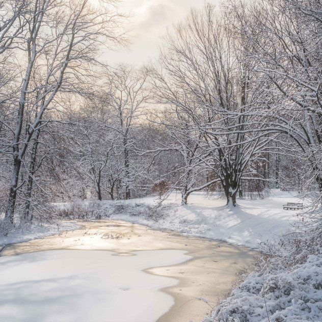 Winter Wonderlands: Οι ομορφότεροι χιονισμένοι κήποι στον κόσμο
