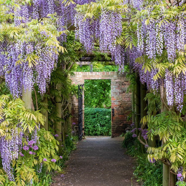 Τα πιο συχνά λάθη κηπουρικής την άνοιξη και πώς να τα αποφύγετε για έναν όμορφα ανθισμένο κήπο