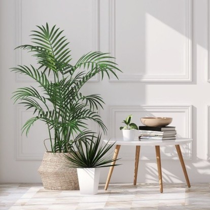 Beat the heat: 4 φυτά εσωτερικού χώρου που θα διατηρήσουν το σπίτι σας δροσερό 