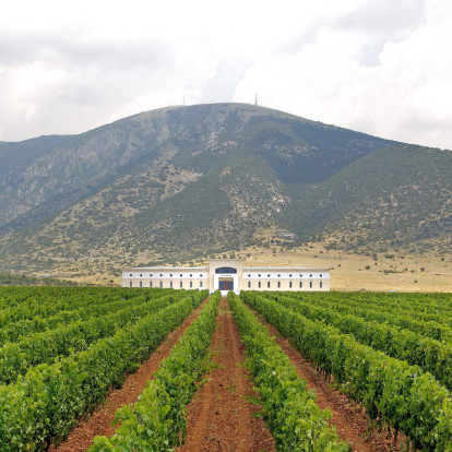 Από τη Μακεδονία έως τη Θράκη, μία μαγευτική περιπλάνηση στα οινοποιεία της Βόρειας Ελλάδας
