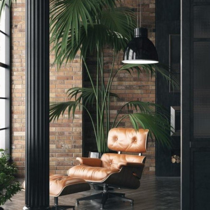 Τα viral φυτά του 2026 που θα βλέπουμε σε κάθε σπίτι