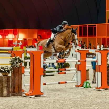 2026: Η Χρονιά του Πυρακτώμενου Αλόγου σύμφωνα με την κινέζικη παράδοση