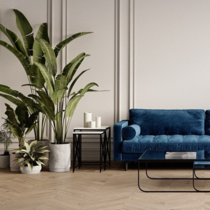 Φυτά εσωτερικού χώρου και καθαρή ατμόσφαιρα: Μύθος ή πραγματικοί σύμμαχοι ευεξίας;