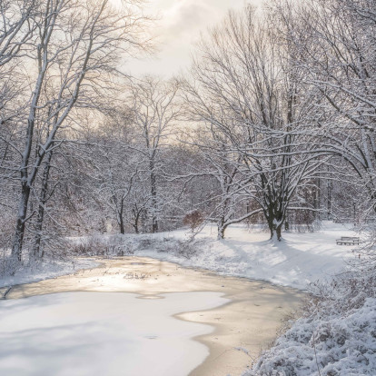 Winter Wonderlands: Οι ομορφότεροι χιονισμένοι κήποι στον κόσμο