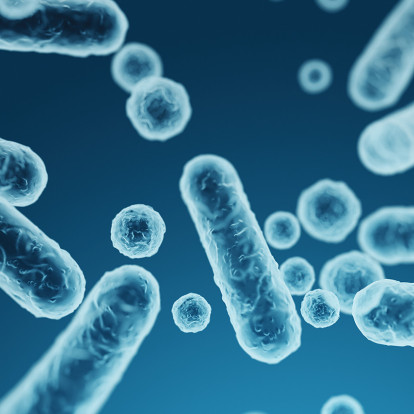 Ευ ζην στην Εμμηνόπαυση: Όσα οφείλουμε να γνωρίζουμε για το μικροβίωμα ως παράγοντα ισορροπίας κατά τη διάρκεια της εμμηνόπαυσης