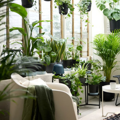 Ποιοι είναι οι ιδανικοί βολβοί για να φυτέψουμε τον Μάρτιο για να αποκτήσουμε έναν εντυπωσιακό καλοκαιρινό κήπο