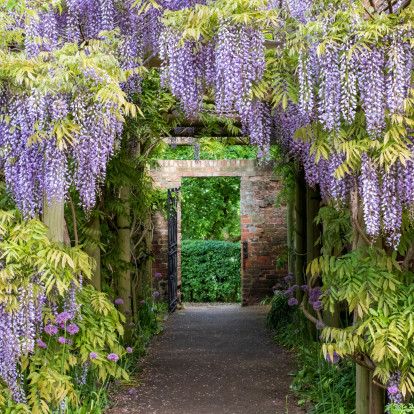 Τα πιο συχνά λάθη κηπουρικής την άνοιξη και πώς να τα αποφύγετε για έναν όμορφα ανθισμένο κήπο