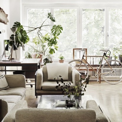 4 τρόποι για να εντάξετε τα πράσινα φυτά στον χώρο σας