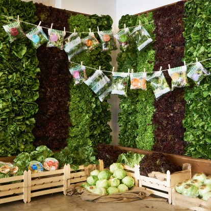 Δώστε φρέσκια νότα στη διατροφή σας με αυτές τις σαλάτες