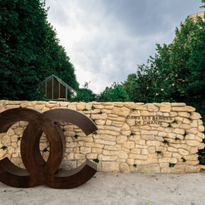 O οίκος Chanel προσκαλεί το κοινό του σε μια απρόσμενη ξενάγηση στον μαγικό κόσμο της καμέλιας