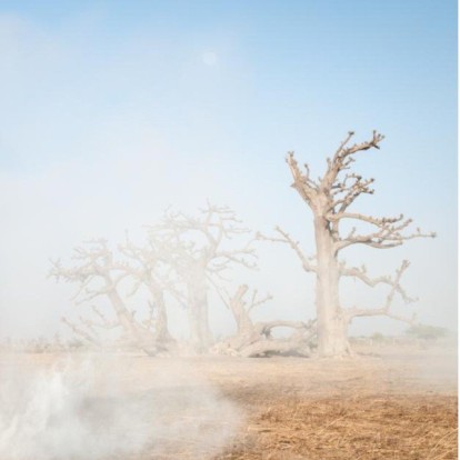 Η Προφητεία για το μέλλον του πλανήτη μέσα από τα πνεύματα του Fabrice Monteiro