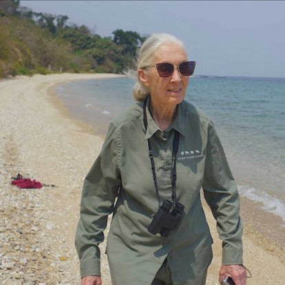 Μάθετε τα πάντα για την πρεμιέρα του ντοκιμαντέρ «Jane Goodall: The Hope» στο National Geographic και τη δυναμική πρωταγωνίστριά του 