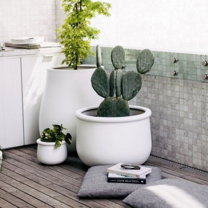 Τα πιο εντυπωσιακά houseplants που χρειάζονται ελάχιστη φροντίδα