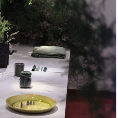 H καταπράσινη Verdant Edition by Yatzer άνθισε για τρεις μέρες στο yatzerlab